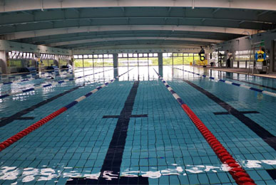上海翼立體育俱樂部游泳池項目